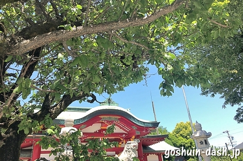 上野天満宮の梅と拝殿