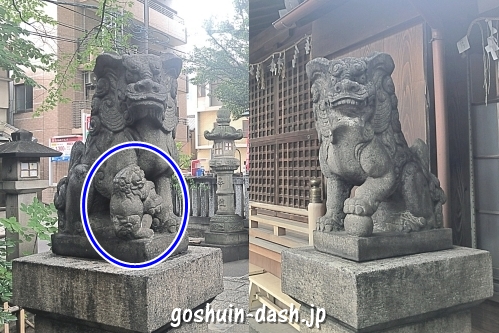 淺間神社(名古屋市西区)の狛犬