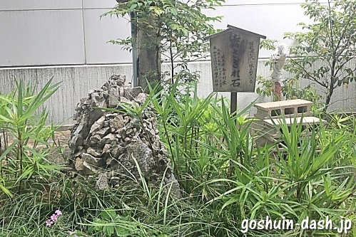 泥江縣神社(名古屋市中区)のさざれ石