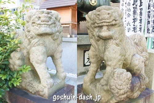 久屋金刀比羅神社(名古屋市東区泉)狛犬
