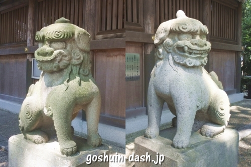 野田八幡宮(愛知県刈谷市)拝殿前狛犬