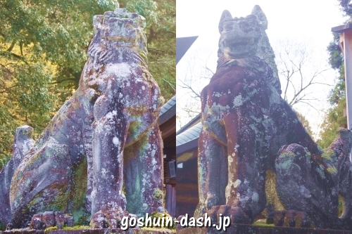岐阜護國神社(岐阜市)狛犬