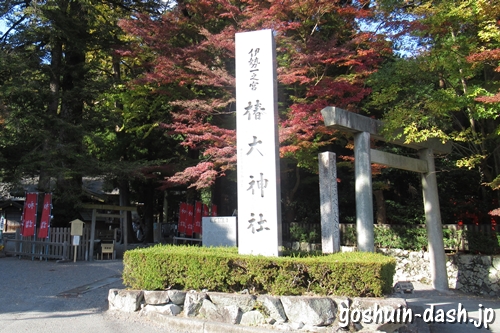 椿大神社(三重県鈴鹿市)社号標と一の鳥居