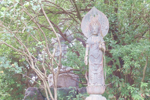 長母寺(名古屋市東区)聖観音像